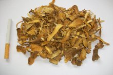 Корень Ибога Tabernanthe iboga (ибоги ) 10 грамм 