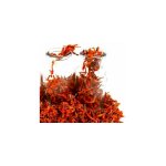 Дагга Дикая, Львиный Хвост, цветы (Wild Dagga, Leonotis Leonurus, Lion's Tail)